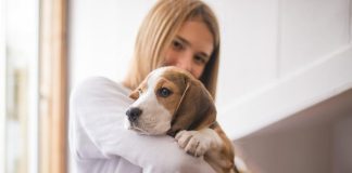 Best Ways to Care for Your Puppys Eyes and Ears