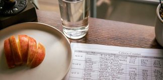 Puppy Meal Planning: What Every Pet Owner Should Know