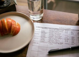 Puppy Meal Planning: What Every Pet Owner Should Know