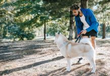 How to Train Your Puppy for Off Leash Obedience