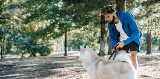 How to Train Your Puppy for Off Leash Obedience