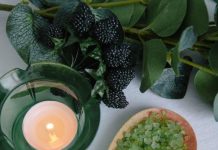 Puppy Health Essentials for This Years Pet Owners