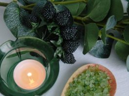 Puppy Health Essentials for This Years Pet Owners Puppy Health Essentials for This Years Pet Owners