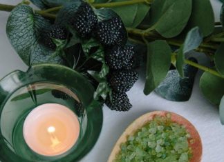 Puppy Health Essentials for This Years Pet Owners