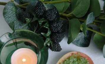 Puppy Health Essentials for This Years Pet Owners Puppy Health Essentials for This Years Pet Owners