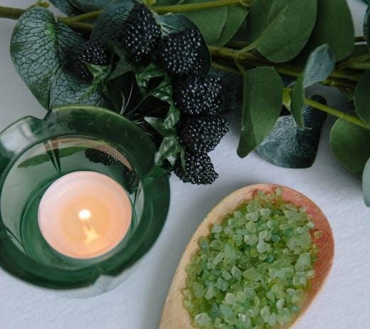 Puppy Health Essentials for This Years Pet Owners