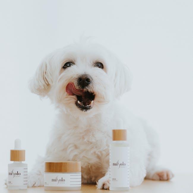 Daily Routines to Keep Your Puppys Skin Healthy and Happy