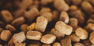 Best Puppy Food for Fast Growing Large Breeds