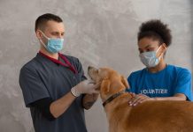 Puppy Parasite Prevention: What Every Owner Should Know Puppy Parasite Prevention: What Every Owner Should Know