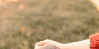 How to Train Your Puppy to Handle New Experiences Calmly