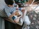 The Best Puppy Food Options for Active Puppies