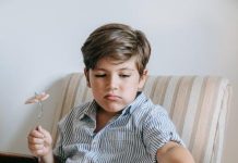 Best Puppy Food Options for Active Puppies