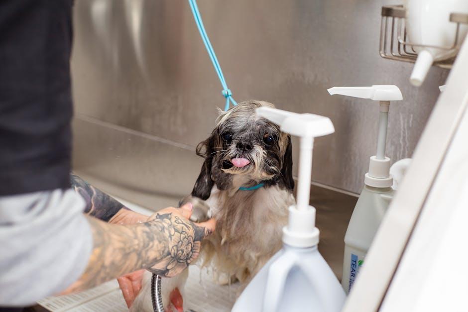 Regular Grooming and Bathing Techniques to Keep Pests at Bay