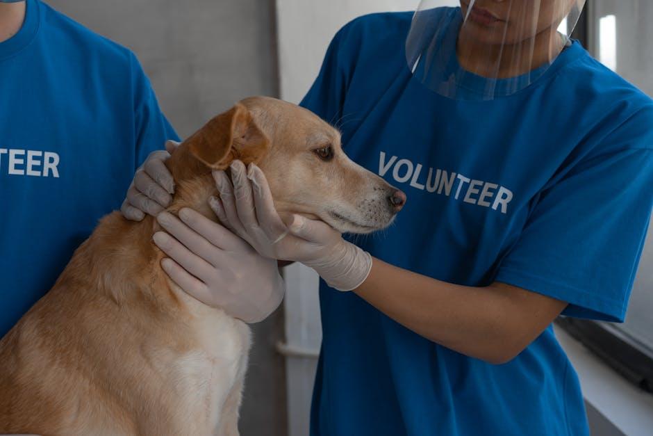 Regular Vet Visits and Vaccinations for a Healthy Start