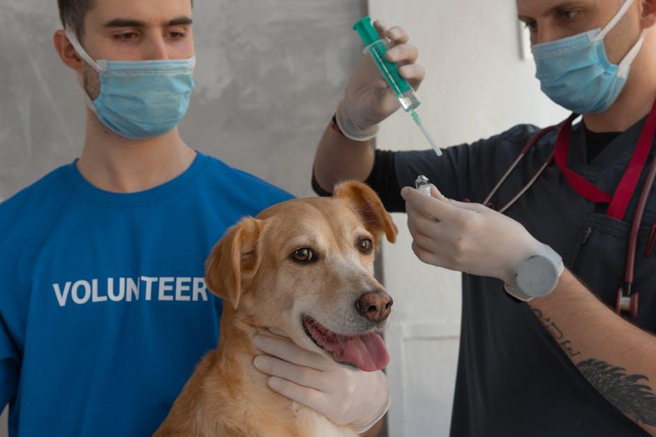 Essential Vaccinations and Regular Vet Visits for Long-term Health