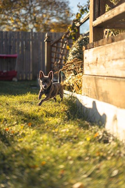 Address Common Challenges Dealing with Barking and Chewing