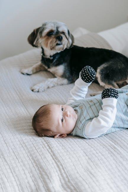 Setting Up a ⁣Safe and Cozy Space for Your New Puppy