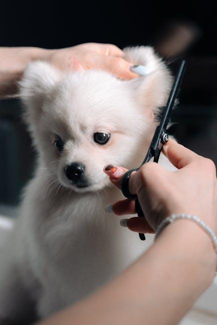 Understanding Your Puppys Grooming Needs